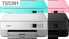 Canon PIXMA TS5391 Treiber für Drucker und Scanner