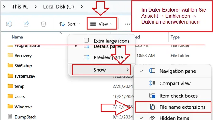 Wenn im Datei-Explorer die Dateinamenerweiterungen (.INF) nicht angezeigt werden
